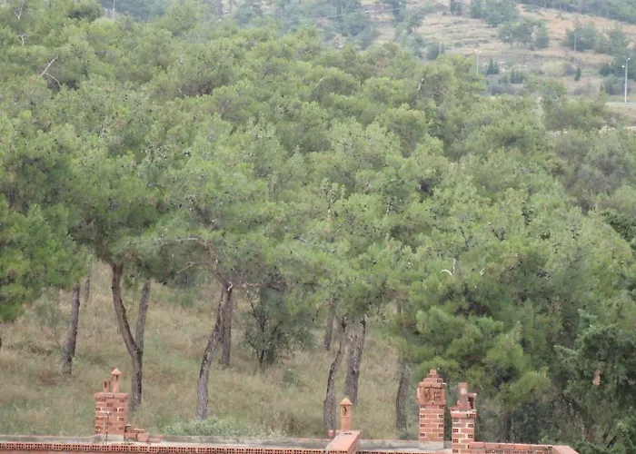 Lion Sunset Apartment *