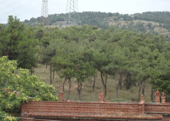 Lion Sunset Apartment *