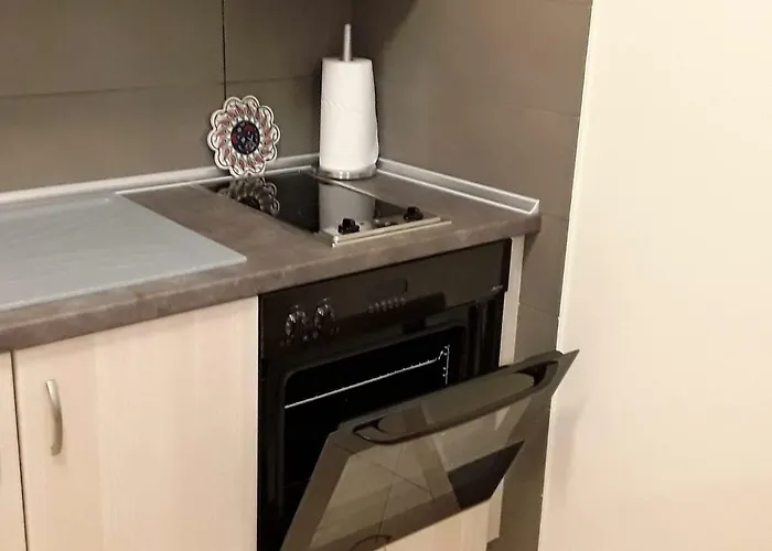 Lion Sunset Apartment